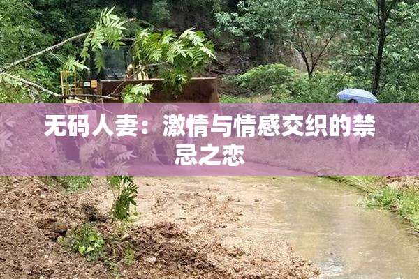无码人妻：激情与情感交织的禁忌之恋