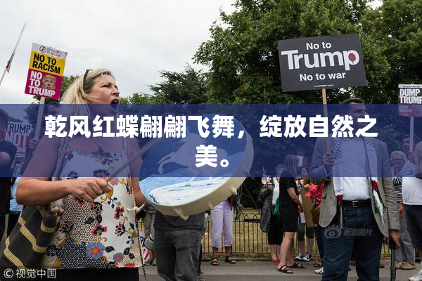 乾风红蝶翩翩飞舞，绽放自然之美。