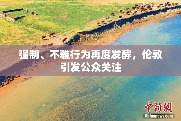 强制、不雅行为再度发酵，伦敦引发公众关注