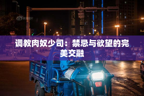 调教肉奴少司：禁忌与欲望的完美交融