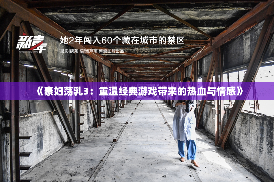 《豪妇荡乳3：重温经典游戏带来的热血与情感》