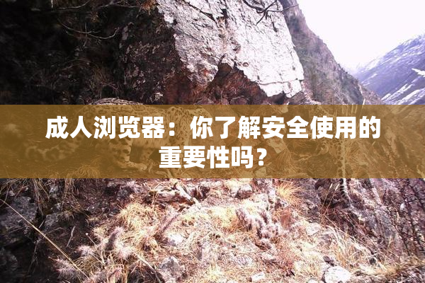 成人浏览器：你了解安全使用的重要性吗？