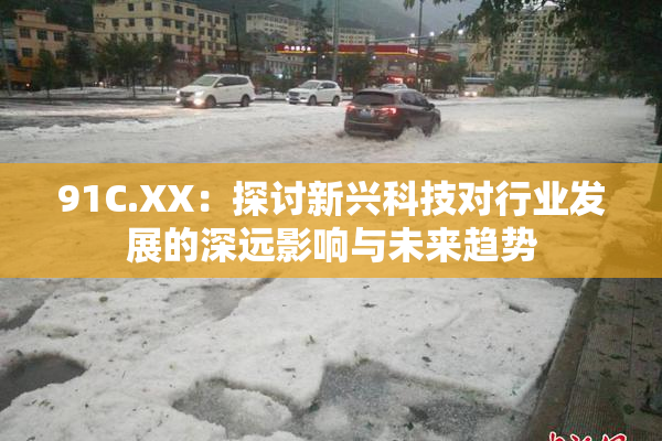 91C.XX：探讨新兴科技对行业发展的深远影响与未来趋势