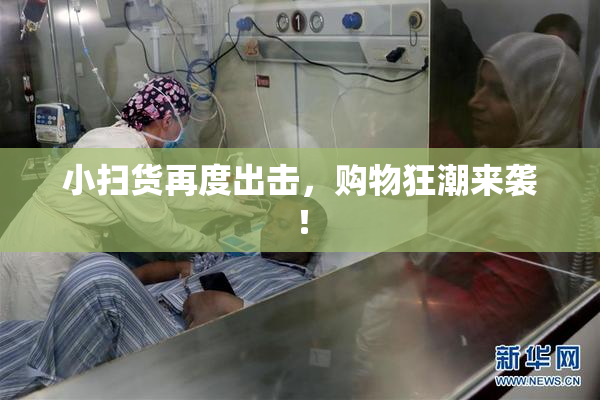 小扫货再度出击，购物狂潮来袭！