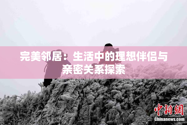 完美邻居：生活中的理想伴侣与亲密关系探索