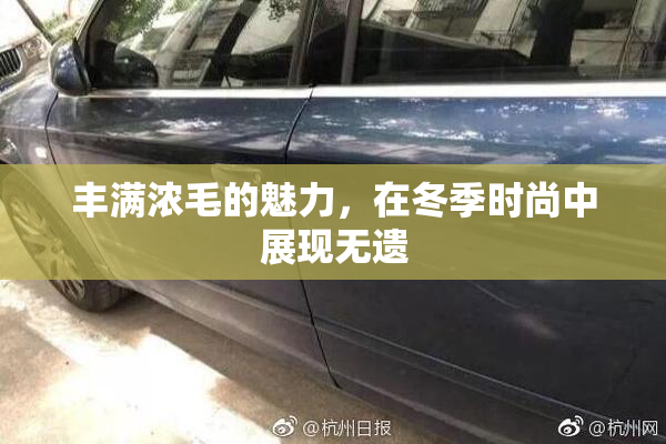 丰满浓毛的魅力，在冬季时尚中展现无遗