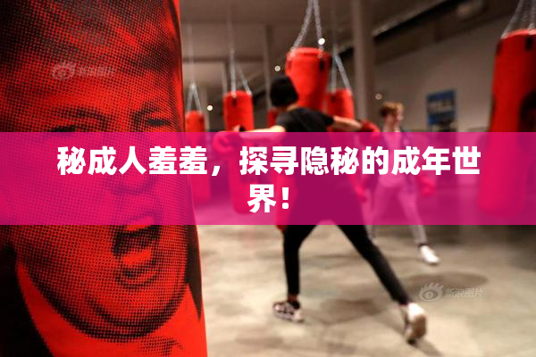 秘成人羞羞，探寻隐秘的成年世界！