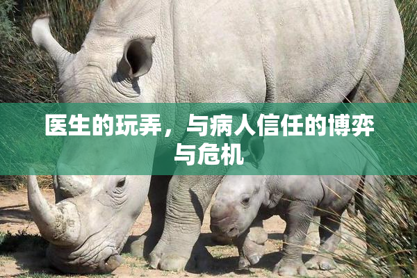 医生的玩弄，与病人信任的博弈与危机