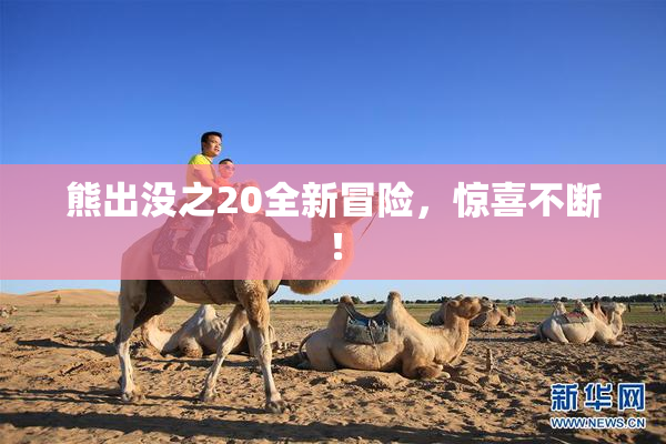 熊出没之20全新冒险，惊喜不断！