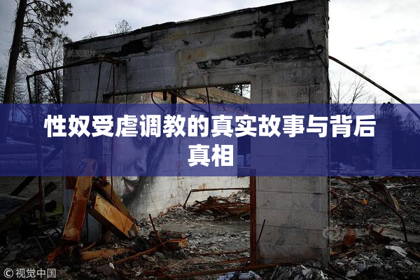 性奴受虐调教的真实故事与背后真相