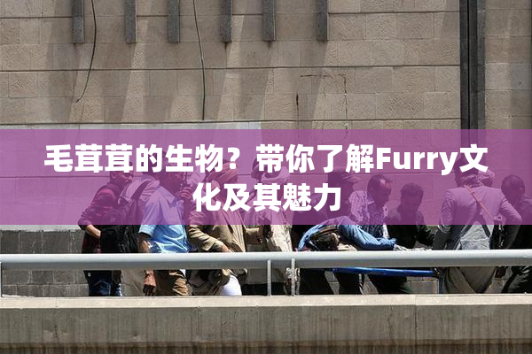 毛茸茸的生物？带你了解Furry文化及其魅力