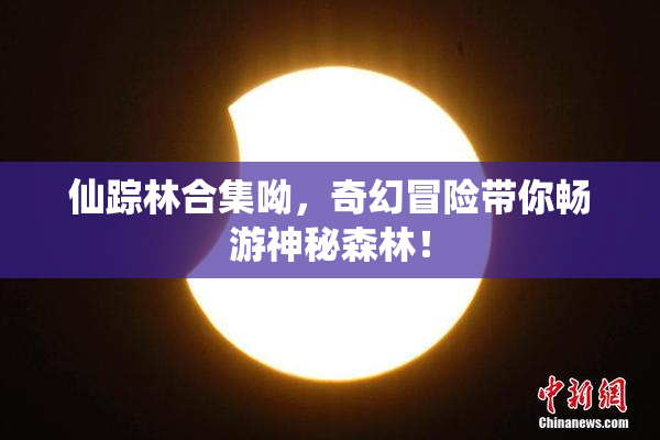 仙踪林合集呦，奇幻冒险带你畅游神秘森林！
