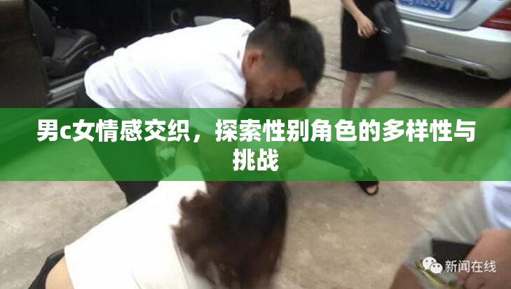 男c女情感交织，探索性别角色的多样性与挑战