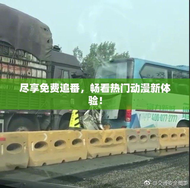 尽享免费追番，畅看热门动漫新体验！