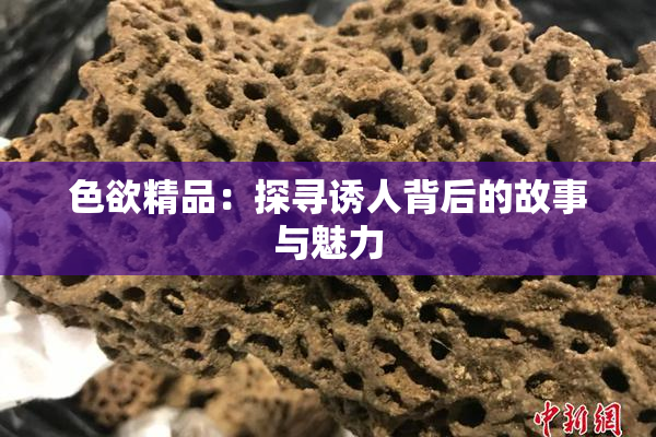 色欲精品：探寻诱人背后的故事与魅力