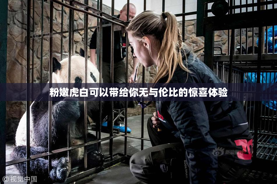 粉嫩虎白可以带给你无与伦比的惊喜体验