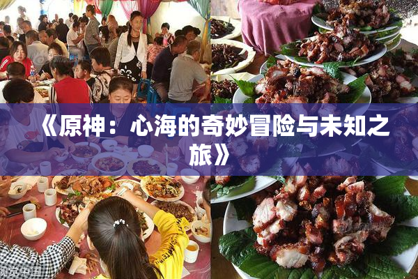 《原神：心海的奇妙冒险与未知之旅》