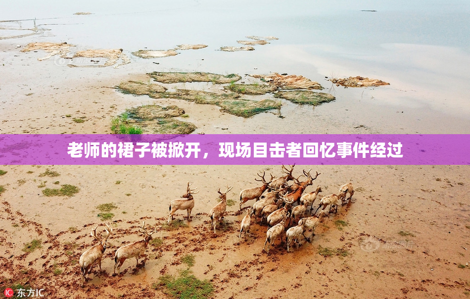 老师的裙子被掀开，现场目击者回忆事件经过