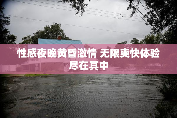 性感夜晚黄昏激情 无限爽快体验尽在其中