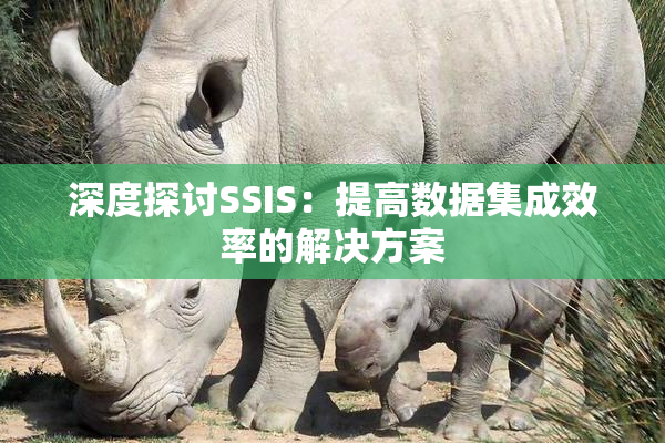 深度探讨SSIS：提高数据集成效率的解决方案