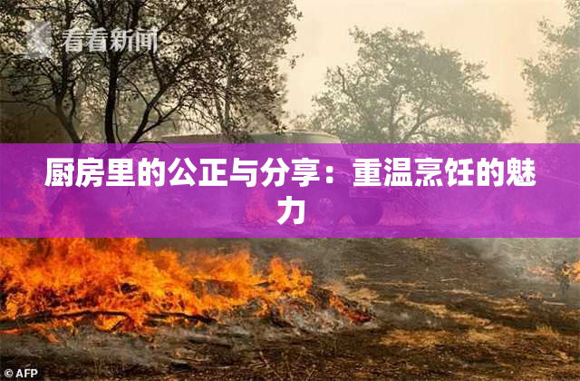 厨房里的公正与分享：重温烹饪的魅力