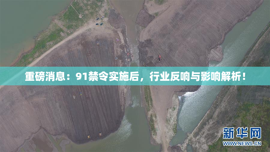 重磅消息：91禁令实施后，行业反响与影响解析！