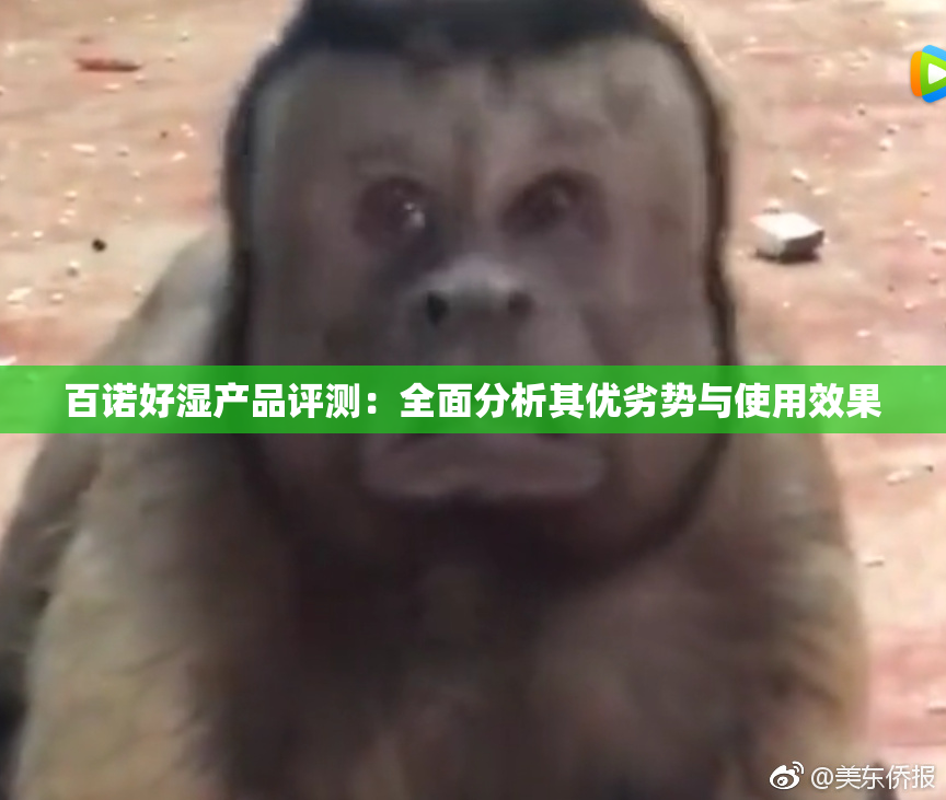 百诺好湿产品评测：全面分析其优劣势与使用效果