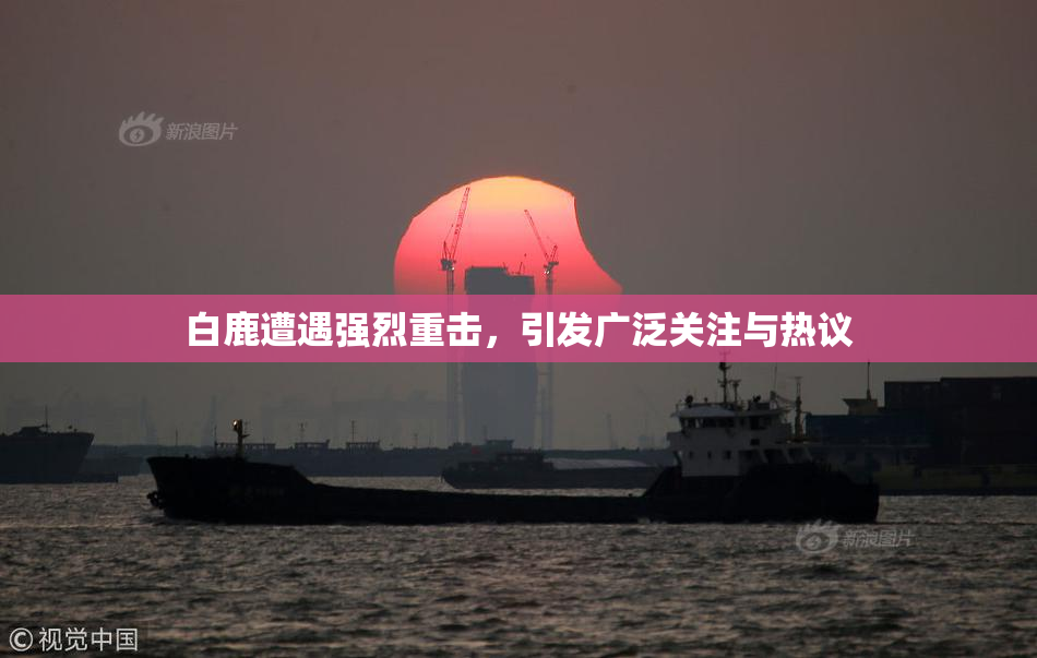 白鹿遭遇强烈重击，引发广泛关注与热议
