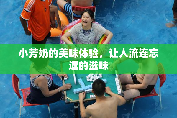 小芳奶的美味体验，让人流连忘返的滋味