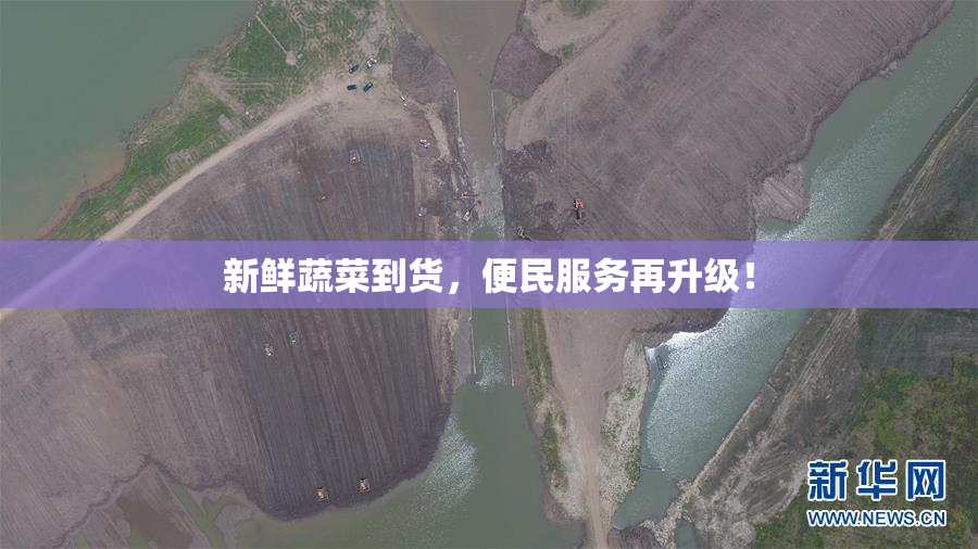 新鲜蔬菜到货，便民服务再升级！