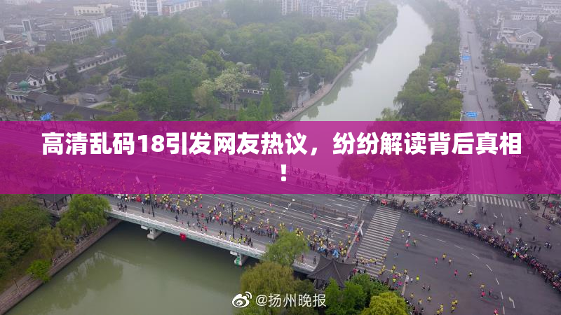 高清乱码18引发网友热议，纷纷解读背后真相！