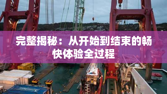 完整揭秘：从开始到结束的畅快体验全过程