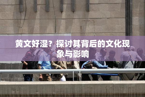 黄文好湿？探讨其背后的文化现象与影响
