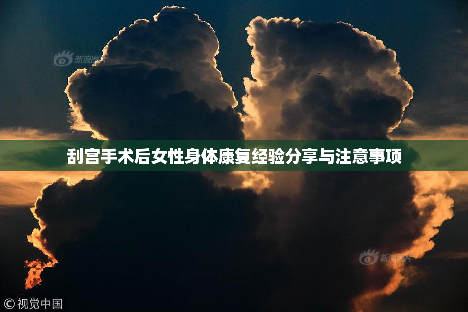 刮宫手术后女性身体康复经验分享与注意事项