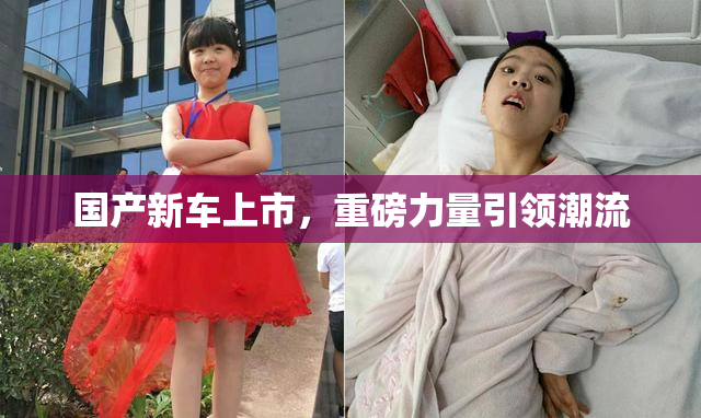 国产新车上市，重磅力量引领潮流