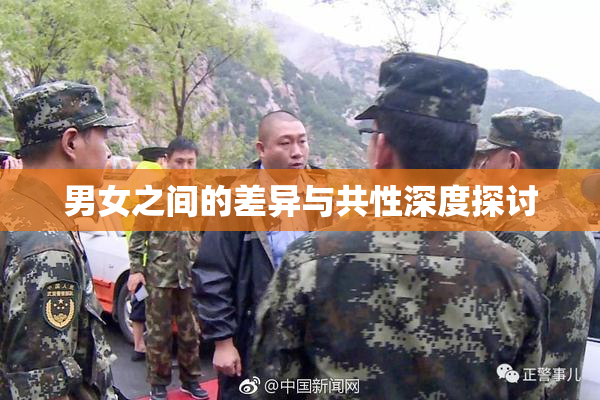 男女之间的差异与共性深度探讨