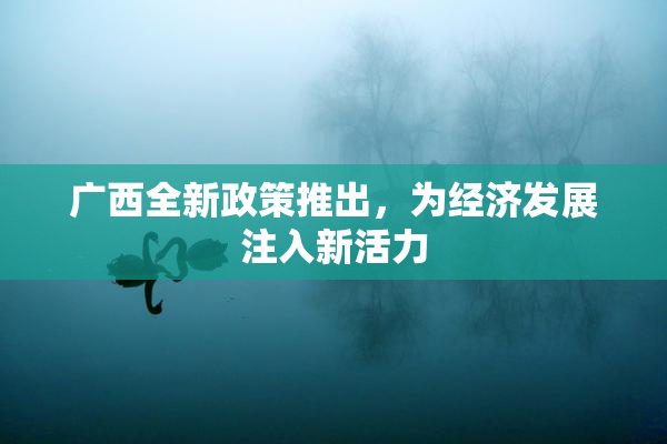广西全新政策推出，为经济发展注入新活力