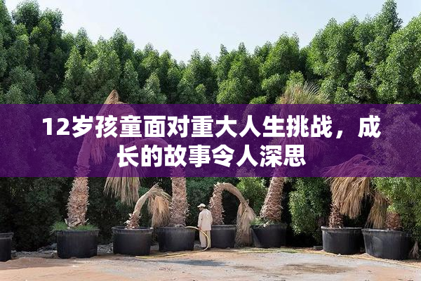 12岁孩童面对重大人生挑战，成长的故事令人深思