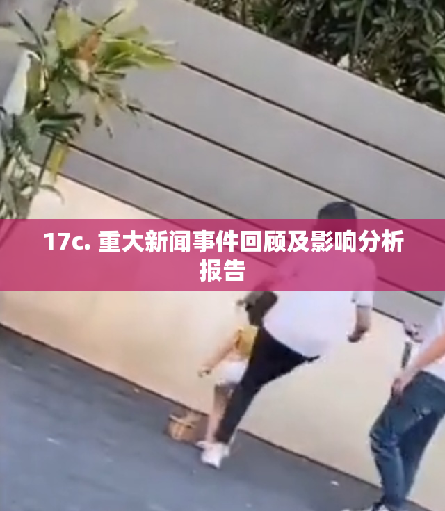 17c. 重大新闻事件回顾及影响分析报告