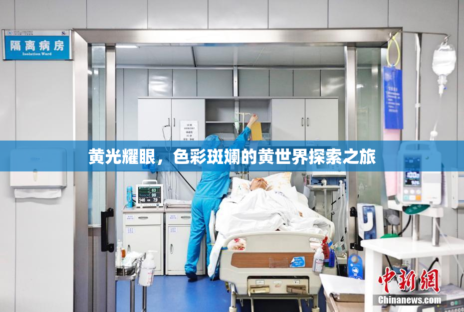 黄光耀眼，色彩斑斓的黄世界探索之旅
