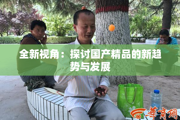 全新视角：探讨国产精品的新趋势与发展