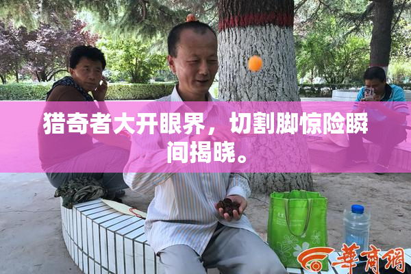 猎奇者大开眼界，切割脚惊险瞬间揭晓。