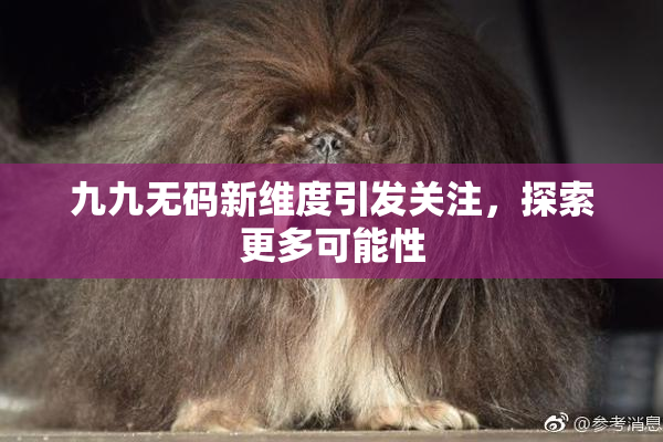 九九无码新维度引发关注，探索更多可能性