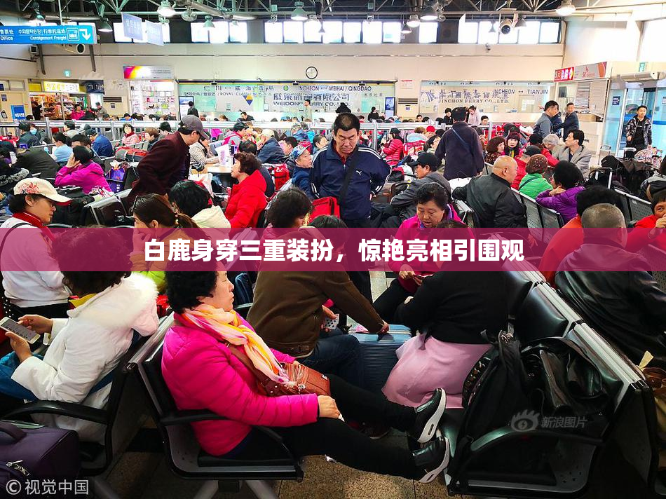 白鹿身穿三重装扮，惊艳亮相引围观