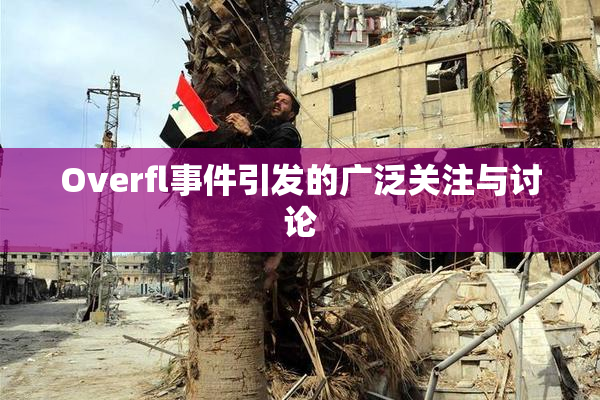 Overfl事件引发的广泛关注与讨论