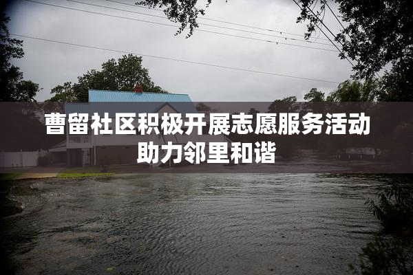 曹留社区积极开展志愿服务活动助力邻里和谐