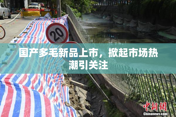 国产多毛新品上市，掀起市场热潮引关注
