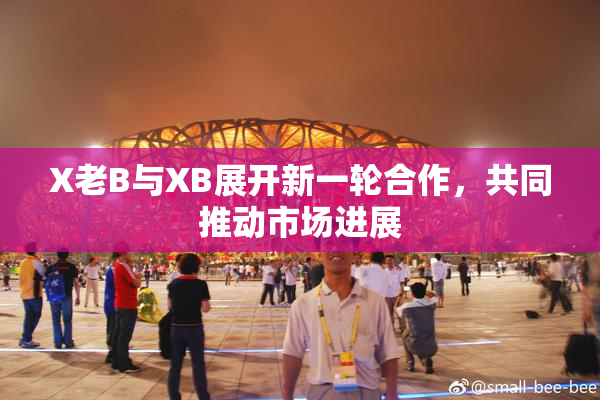 X老B与XB展开新一轮合作，共同推动市场进展