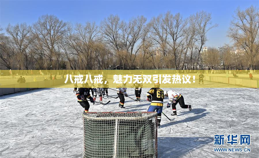 八戒八戒，魅力无双引发热议！