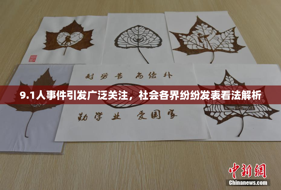 9.1人事件引发广泛关注，社会各界纷纷发表看法解析